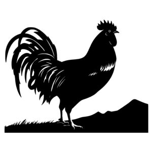Regal Rooster