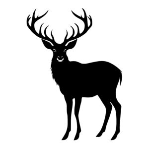 Antlered Stag