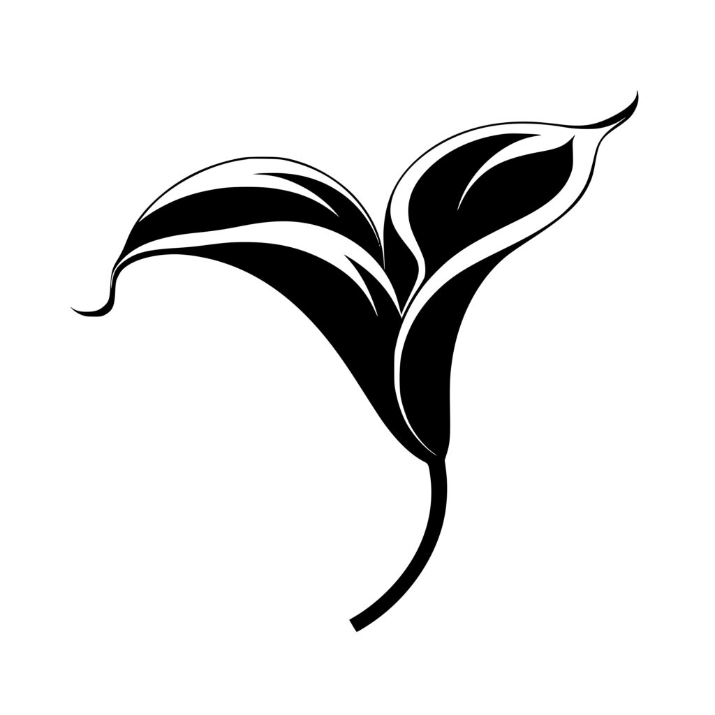 Instant Download SVG File: Blooming Calla Lily for Cricut, Silhouette