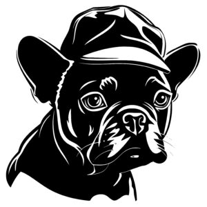 Hatted French Bulldog