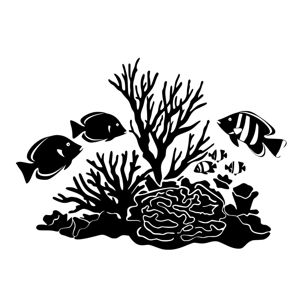 tropical-marine-life-svg-png-dxf-for-cricut-silhouette-laser-machines