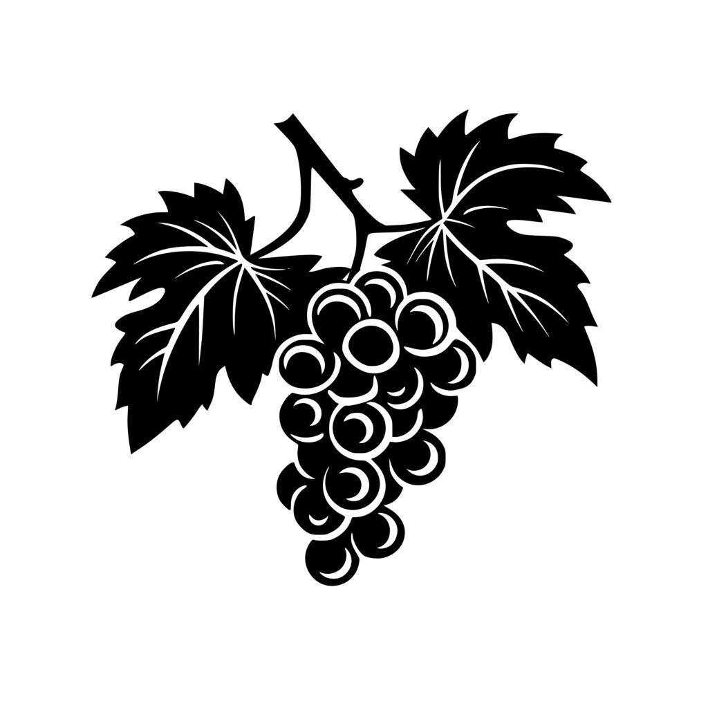 Vineyard Harvest: SVG, PNG, DXF Files for Cricut, Silhouette, Laser ...