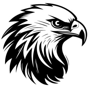 Closeup Eagle