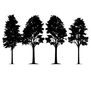 4 Leafy Trees