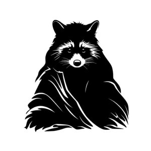 Wise Raccoon