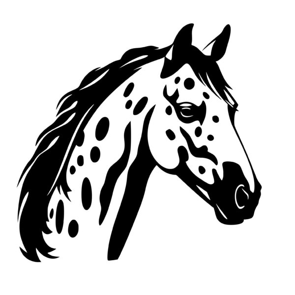 Instant Download SVG: Appaloosa Horse Image for Cricut, Silhouette