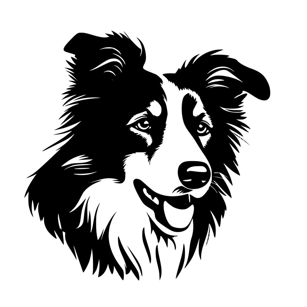 Furry Collie: Instant Download Image for Cricut, Silhouette, Laser Machines