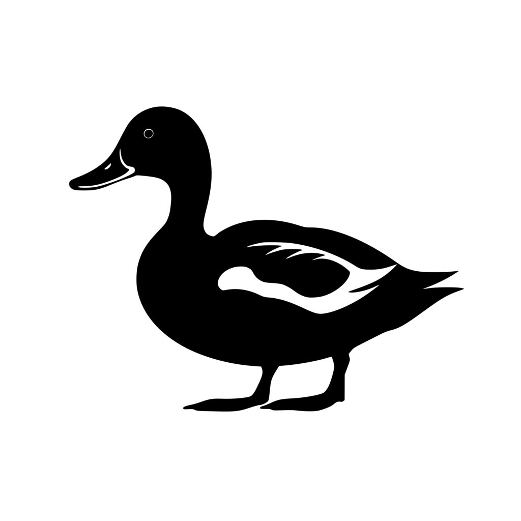 Waterfowl Image: SVG, PNG, DXF for Cricut, Silhouette, Laser Machines