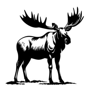Powerful Moose