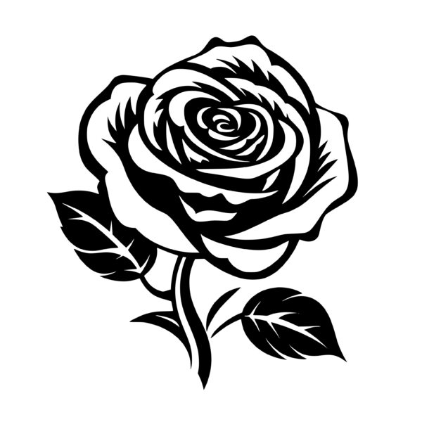 Silhouette drawing of black rose, Black rose Silhouette , Svg Rose