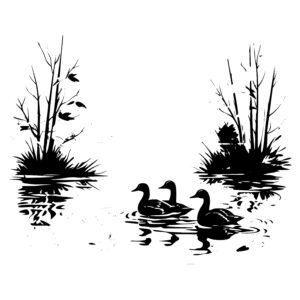 Swimming Ducks