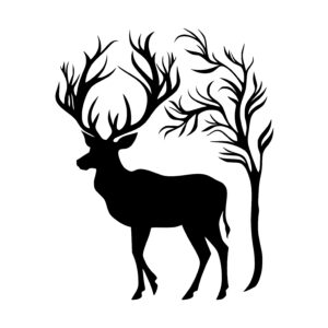 Elegant Deer