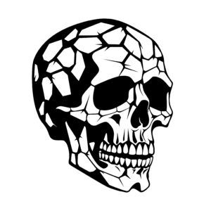 Mysterious Skull