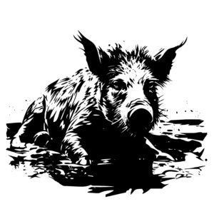 Swimming Pig