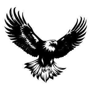 Skyward Eagle
