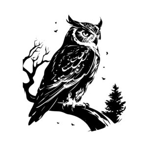 Nighttime Owl Gaze