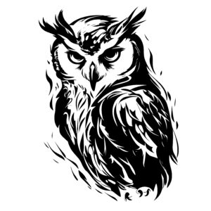 Owl Night Watch