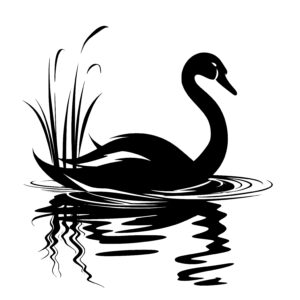 Serene Lake Swan