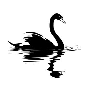 Serene Swan Lake