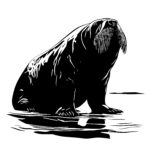 Arctic Walrus