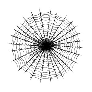 Spider’s Web Mystique