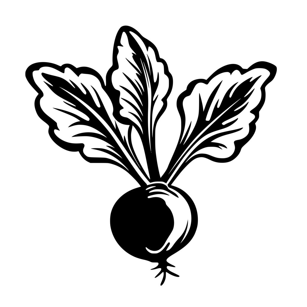 Leafy Beet SVG File for Cricut, Silhouette, Laser Machines