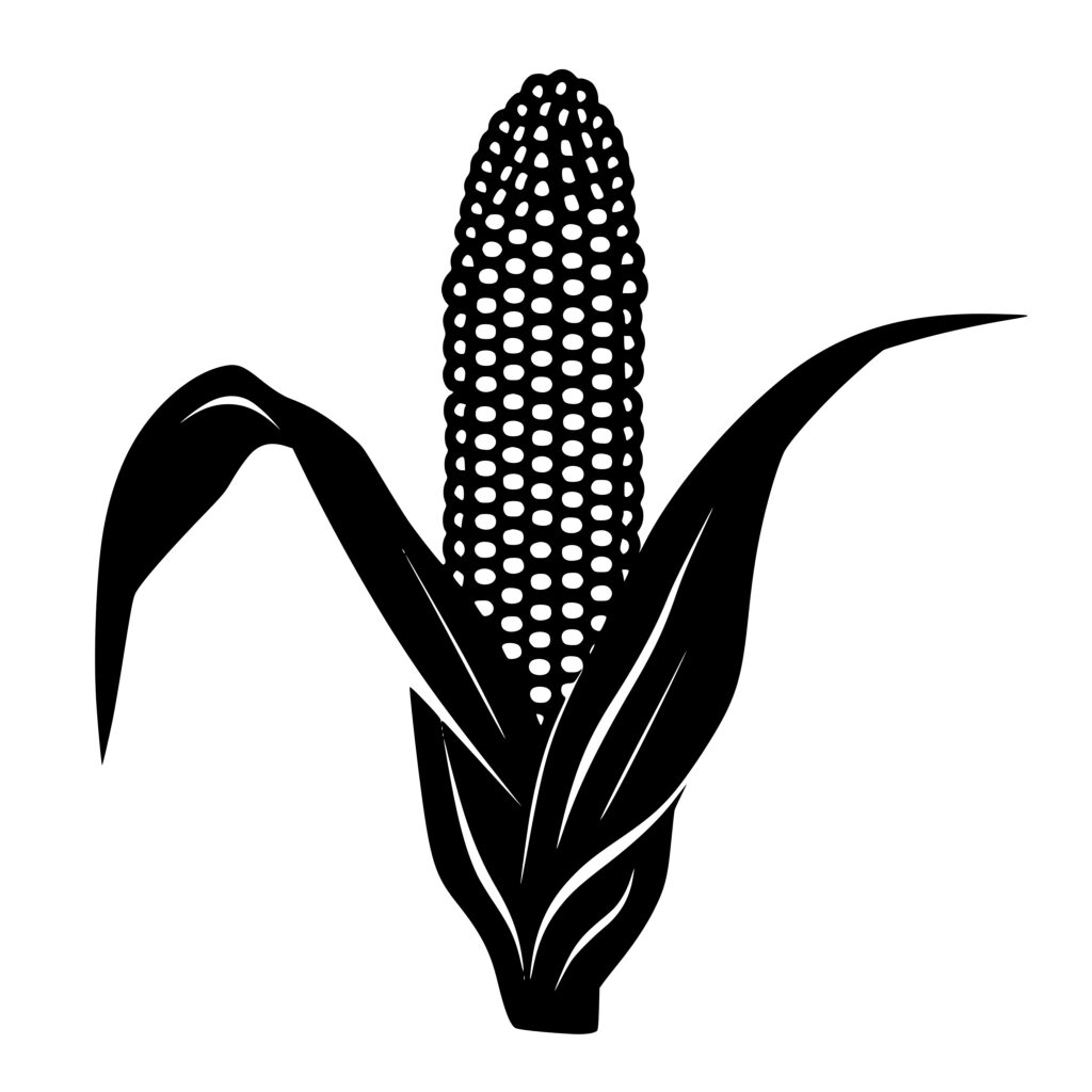 Summer Corn SVG File for Cricut, Silhouette, Laser Machines