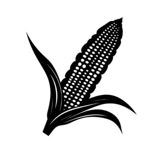 Fall Corn