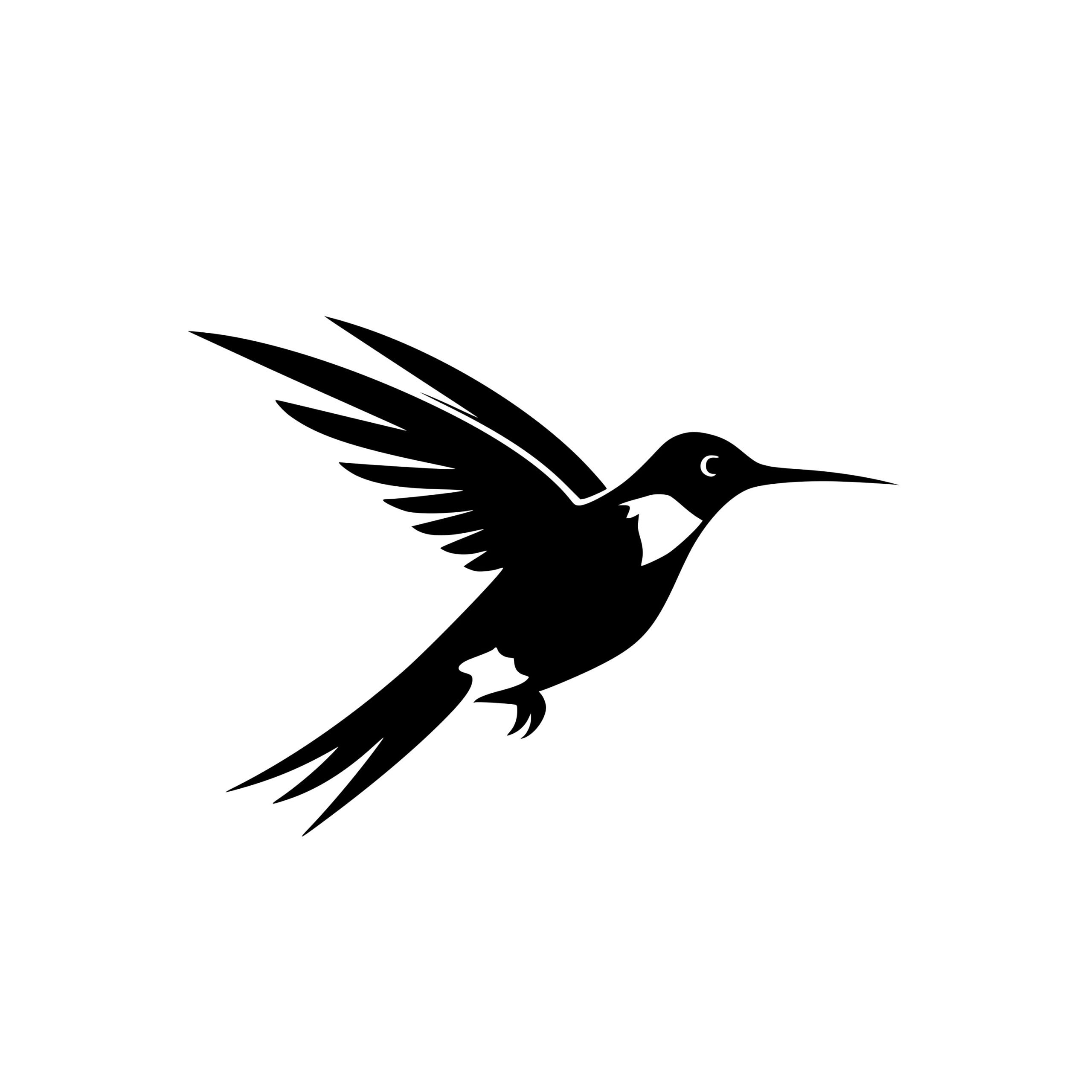 Hovering Hummingbird - Instant Download SVG, PNG, DXF Files for Cricut ...