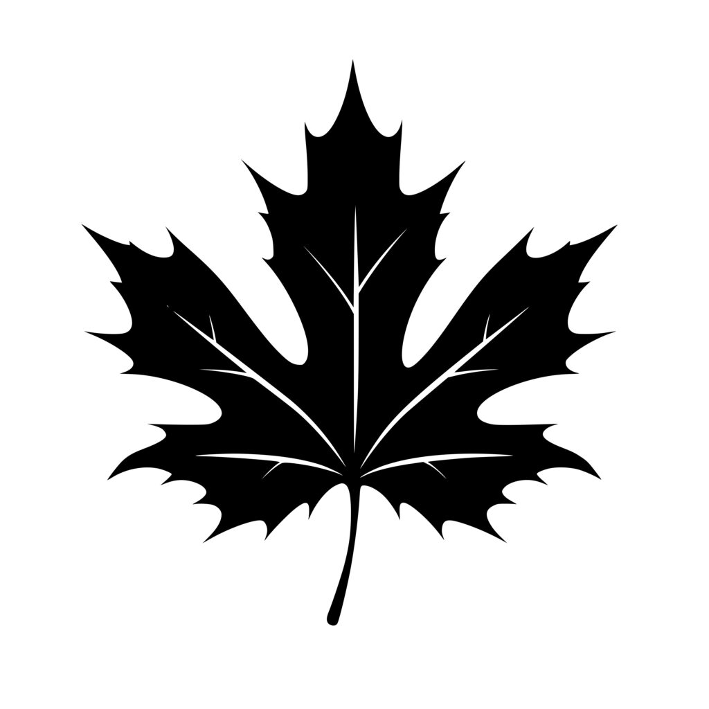 Maple Leaf SVG File for Cricut, Silhouette, Laser Machines