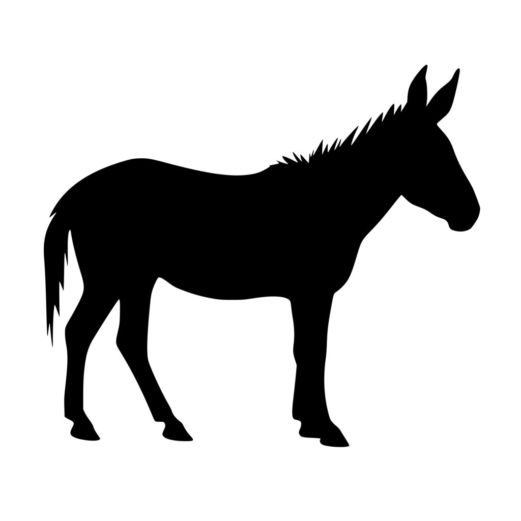Instant Download Donkey Silhouette SVG PNG DXF for Cricut, Silhouette ...