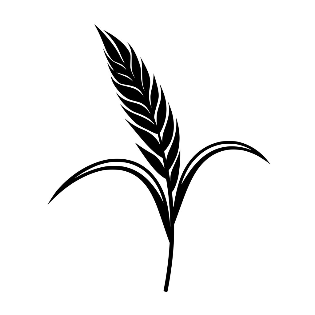 simple-wheat-svg-png-file-instant-download-for-cricut-silhouette