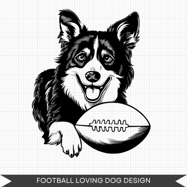 football loving dog