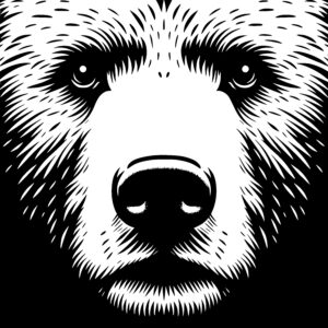 Bear Face Closeup
