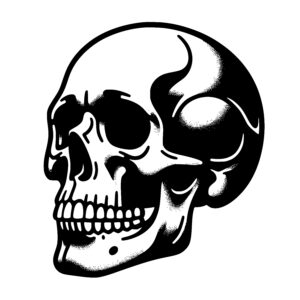 Mystery Skull