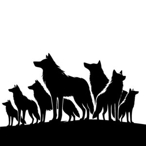 Hilltop Wolves
