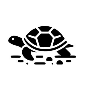 Turtle Land Journey