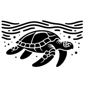 Turtle Ocean Adventure
