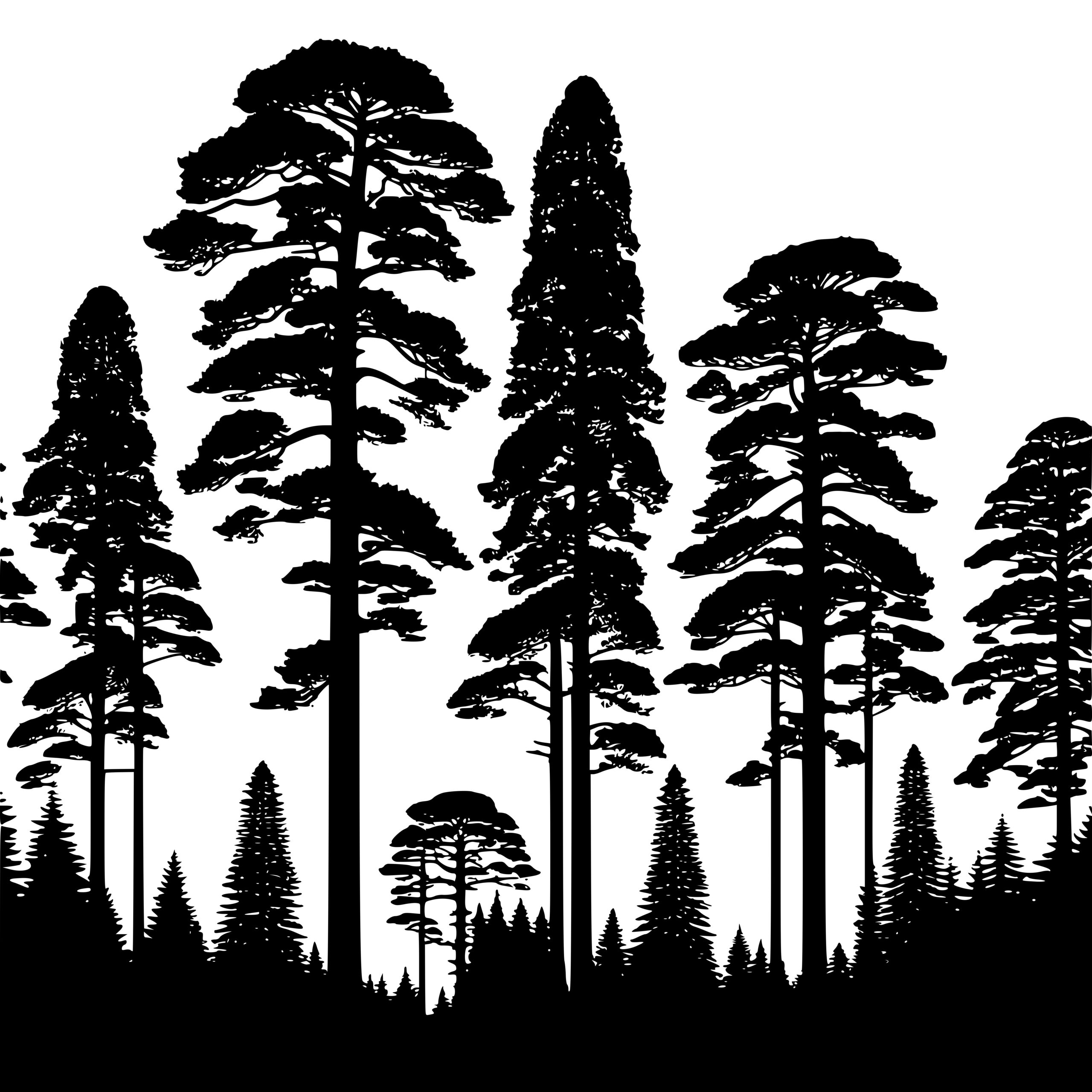 Tall Treeline SVG File for Cricut, Silhouette, Laser Machines