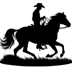 Cowboy Saddle Adventure