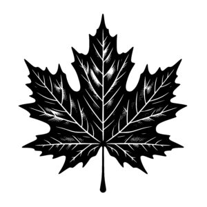 Maple Leaf Magic