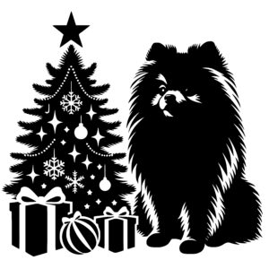 Pomeranian’s Christmas Surprise