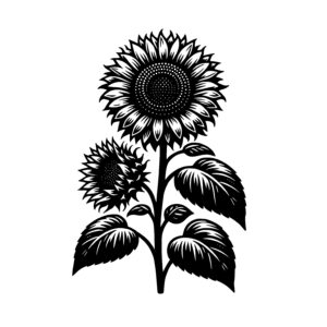Radiant Sunflower