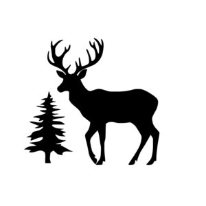 Deer and Pine