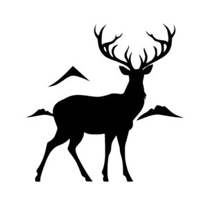 Mountain Elk
