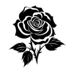 Elegant Blooming Rose