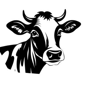 Beautiful Cow Portrait