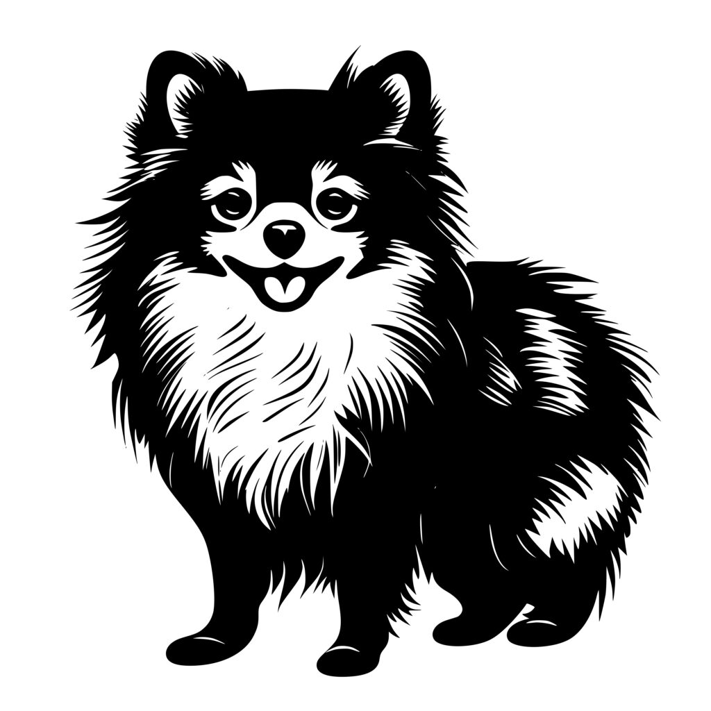 Fluffy Pomeranian Instant Download Image for Cricut, Silhouette, and ...