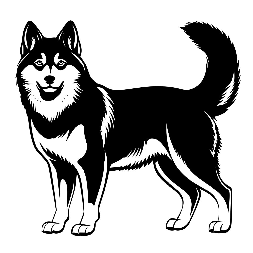 Confident Akita Dog Image for Cricut, Silhouette, Laser Machines