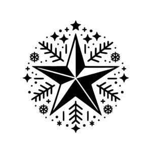Christmas Star Display